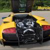 Murcielago