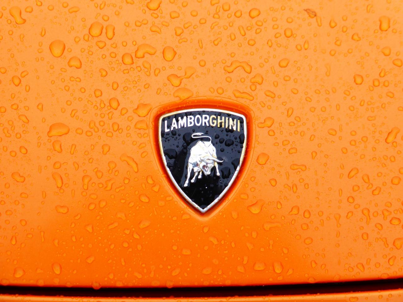 Le logo sur fond orange
